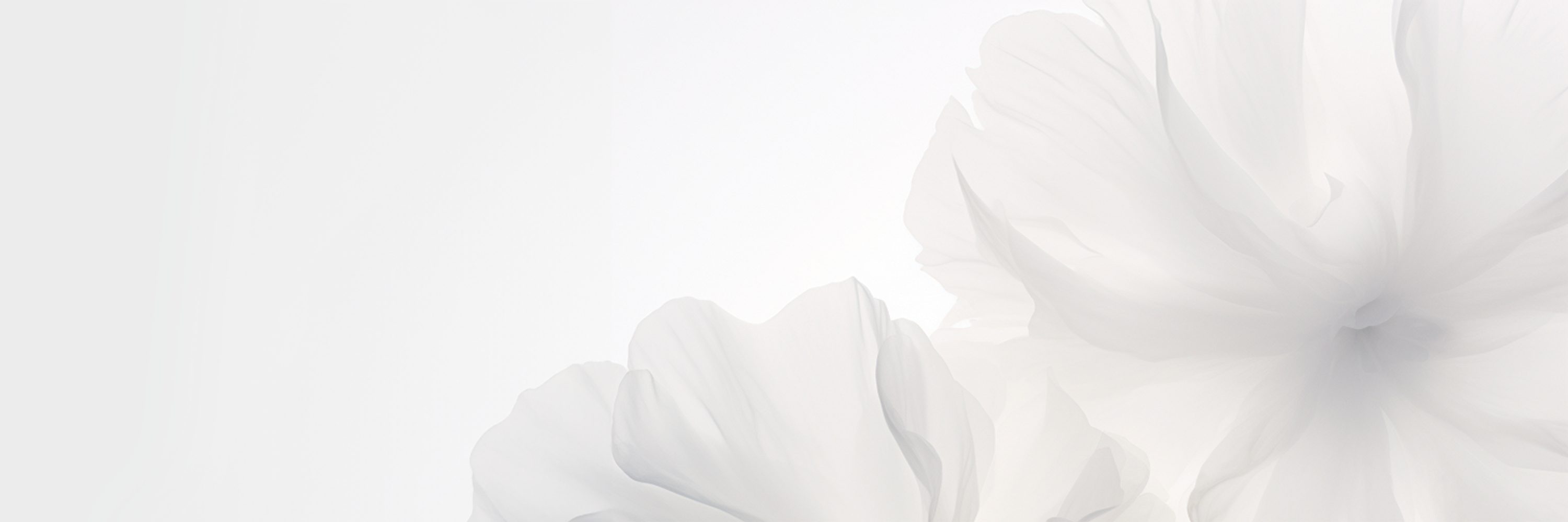 Minimalist Wedding Ring Sets